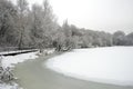 Beautiful landscape with snowy trees at the edge of frozen lake at gloomy winter day Royalty Free Stock Photo