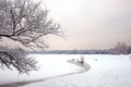 Beautiful landscape with snowy trees at the edge of frozen river at gloomy winter day Royalty Free Stock Photo