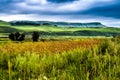 Beautiful landscape of South Africa South Africa region of the Dragon Mountains. Royalty Free Stock Photo