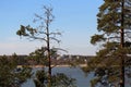 Landscape of Espoo, Finland during Spring - Baltic Sea, Trees and Big Rocks Royalty Free Stock Photo