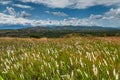 Beautiful landscape in southwestern Uganda, Royalty Free Stock Photo