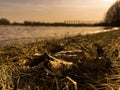 beautiful landscape in spring - in April, Dnipro