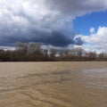 Beautiful landscape of the spring flood of river, stormy stream of dark water mixed with clay and blue sky in clouds Royalty Free Stock Photo