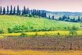 Fields and vineyard on rolling hills in Tuscany, Italy