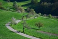 Beautiful landscape in spring in the Odenwald, Germany Royalty Free Stock Photo