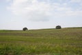 Beautiful landscape in springtime at Brunete, Madrid