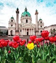 Beautiful landscape with St. Charles`s Church Karlskirche with tulips in the background in Vienna, Austria