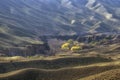 Beautiful landscape in the steppe of Kazakhstan with a view of the canyon of the Timerlik River, a tributary of the Charyn River