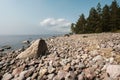 Beautiful landscape. Stony coast and clear sea, against the background of blue sky, clouds and pines, on a summer day. Royalty Free Stock Photo