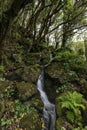 Beautiful landscape stream waterfall through the forest walking up to the PoÃÂ§o Ribeira do Ferreiro waterfalls and Lagoa dos Patos Royalty Free Stock Photo