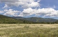 Beautiful landscape, summer chamomile flower field, high green mountains, beautiful blue sky with big white clouds Royalty Free Stock Photo