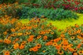 Beautiful landscape of the Summer Garden. Decorative composition of colorful flowers in Riga. Latvia Royalty Free Stock Photo