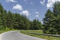 Beautiful landscape of summer nature with green glade, fragrant blossom wildflower, forest and road, Plana mountain