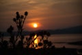 Landscape in the Isummer in thassos , greece