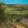 beautiful Landscape in summer with trees and meadows countryside evening light rural scenery nature, Path country Moldova hill