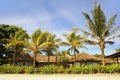 Beautiful landscape Summer tropical scenery of palm trees and beach resort under a blue sky in Bali island of Indonesia in Asia v Royalty Free Stock Photo