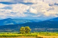 Beautiful landscape summer view Plovdiv valley Rhodope mountain Bulgaria Royalty Free Stock Photo