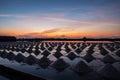 Beautiful landscape at sunset Agriculture salt Farming. sea-salt production in the country, Sunset in Salt farming at Samut