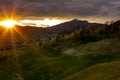 Beautiful Landscape with sunset light and blooming trees