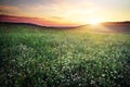 Beautiful landscape with sunset sky and field. Royalty Free Stock Photo