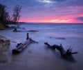 Beautiful Landscape with sunset and snags.