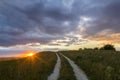 Beautiful landscape at sunset or sunrise, narrow ground road stretching through green grassy blooming meadow to distant horizon li Royalty Free Stock Photo