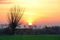 Beautiful landscape, sunset, tree and field, Poland Royalty Free Stock Photo