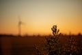 beautiful landscape at sunset. windmill in the field Royalty Free Stock Photo