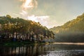 Beautiful Landscape Sunshine Rays Of Light In The Morning And Lake In Pine Forest Trees At Pang-Ung Camping Place, Mae Hong Son,