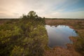 Beautiful landscape of a swamp in an open field in Lithuania at sunset Royalty Free Stock Photo