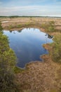 Beautiful landscape of a swamp in an open field in Lithuania at sunset Royalty Free Stock Photo