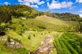 Cameron Highlands Bharat tea plantation