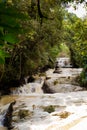 Cameron Highlands Robinson Falls trekking