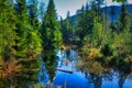 Beautiful landscape in Tatra mountains at summer, Poland Royalty Free Stock Photo