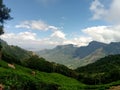 Beautiful landscape of tea plantation in the Indian state of Kerala with selective focus. landscape of the city, Munnar with its