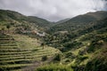 Beautiful landscape of terraced slopes in the mountains, featuring lush vegetation of trees