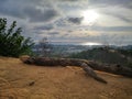 An old tree fallen on the hill top with sunny sky above. Royalty Free Stock Photo