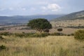 Beautiful landscape with tree in africa Royalty Free Stock Photo