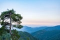 Beautiful landscape with a tree on a hill in Toroslar, Turkey at sunset Royalty Free Stock Photo