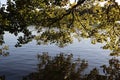 Picturesque lake and green tree leaves over the water at sunset Royalty Free Stock Photo