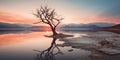 A beautiful landscape of tree in the middle of the lake Royalty Free Stock Photo