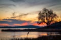 Beautiful landscape with a tree reflected in pond at sunset, Co. Limerick. Ireland Royalty Free Stock Photo