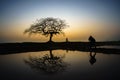 Beautiful landscape with tree silhouette and reflection at sunset with alone girl and bike under the tree Royalty Free Stock Photo