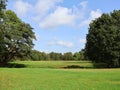 Beautiful landscape with trees on the side and in the background, green grass and blue sky with white clouds.