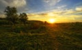 Beautiful landscape of trees and sunset on field Royalty Free Stock Photo