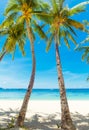 Beautiful landscape of tropical beach on Boracay island, Philippines. Coconut palm trees, sea, sailboat and white sand. Nature Royalty Free Stock Photo