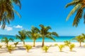 Beautiful landscape of tropical beach on Boracay island, Philippines. Coconut palm trees, sea, sailboat and white sand. Nature Royalty Free Stock Photo