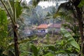 Beautiful landscape of a tropical Indonesian rainforest. Palm trees and a village near Royalty Free Stock Photo