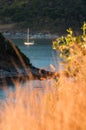 Beautiful Landscape and Tropical over the blue sea with yacht or sailboat in the background and blur yellow grass in the foregroun