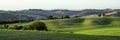 Beautiful landscape in Tuscany - wave hills covered green grass. Tuscany, Italy, Europe Royalty Free Stock Photo